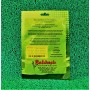 KAVUN ( KIRKAĞAÇ 637 - ALTINBAŞ) TOHUMU 10GR